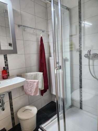 海因斯贝格Ferienhaus Susanne的带淋浴、卫生间和盥洗盆的浴室