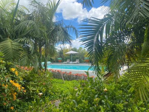 凯里凯里Te Whare Ma的棕榈树花园内的游泳池