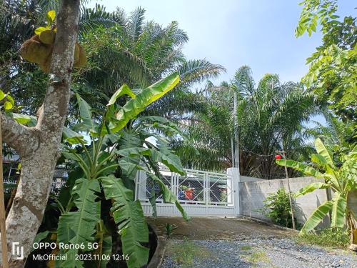 Cu ChiHomestay Mẹ Khang villas,Camping,Glamping的种有棕榈树和白色围栏的花园