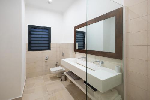贝岛Alma Villas的一间带水槽、卫生间和镜子的浴室