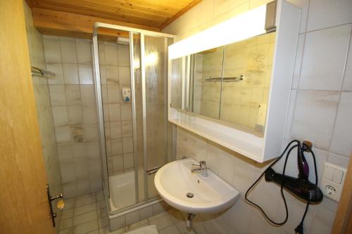 扎奥岑湖Liftgasthof Appartements的浴室配有盥洗盆和带镜子的淋浴