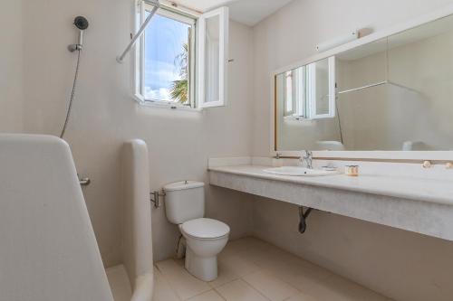 阿吉亚艾里尼帕罗Irene's View Villas Five的一间带卫生间、水槽和镜子的浴室
