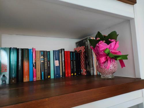 拉奎拉Appartamento Fontesecco的书架上的花瓶,花粉