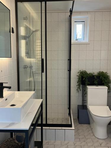 OudesluisZijper Eilant House的带淋浴、卫生间和盥洗盆的浴室