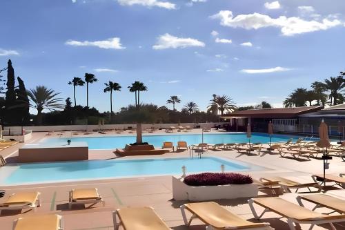 圣巴托洛梅Descubre el bungalow perfecto para tus vacaciones的一个带椅子和棕榈树的大型游泳池