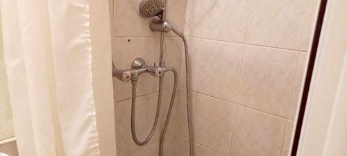 布达佩斯Spark Apartment的浴室内配有淋浴和头顶淋浴