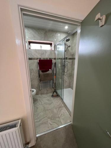 斯特拉凡Straffan的浴室设有步入式淋浴间和玻璃淋浴间