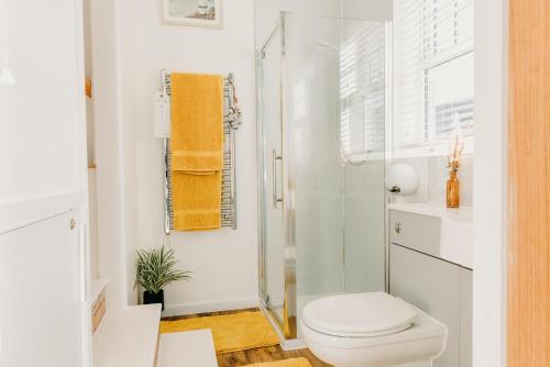 卡尔迪科特Superb Tiny Home in Caldicot with Parking的白色的浴室设有卫生间和淋浴。