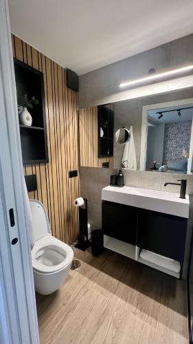 马拉加Belle Vue Malaga Suite的一间带卫生间、水槽和镜子的浴室