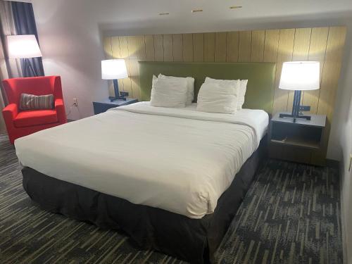 哥伦比亚哥伦比亚机场江山旅馆&套房酒店的一张大床,位于酒店客房内,配有红色椅子