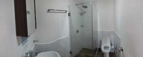 卡塔赫纳EMMA HOTEL SAN DIEGO的一间带卫生间和玻璃淋浴间的浴室