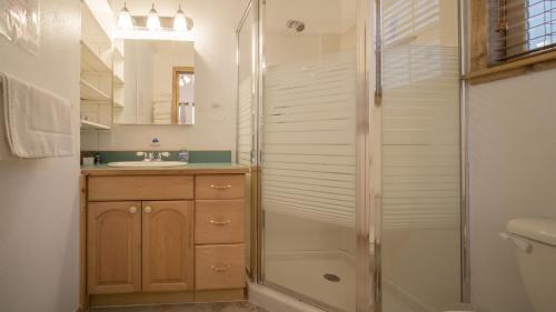 TuckervilleThe Iris Cabin #1 at Blue Spruce RV Park & Cabins的带淋浴和盥洗盆的浴室