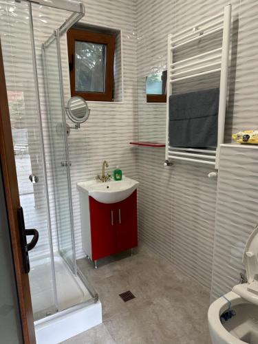 奥托佩尼Airport Confort House的一间带红色水槽和淋浴的浴室
