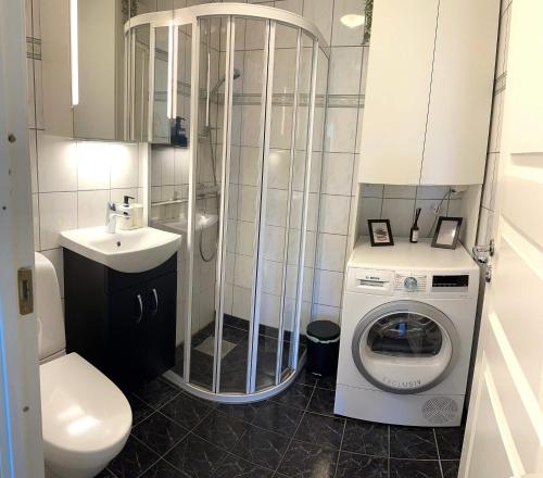 卑尔根Breathtaking Scenery and Cozy Comfort in Bergen的浴室配有卫生间水槽和洗衣机。