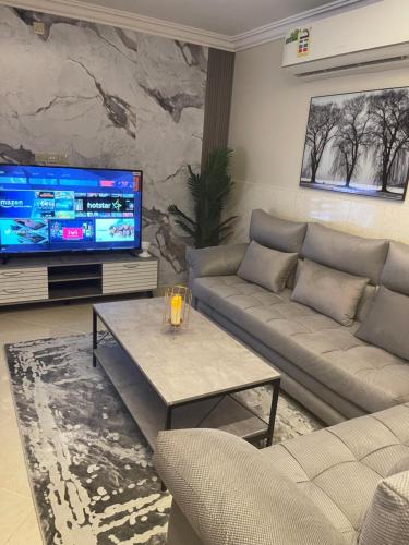 哈萨جناح فاخر的带沙发和电视的客厅
