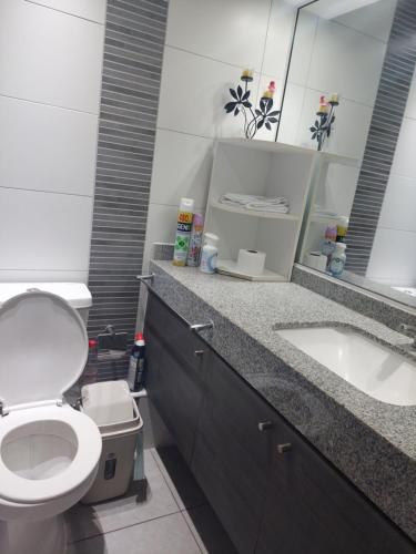 伊基克MATIZ CAVANCHA的一间带卫生间和水槽的浴室