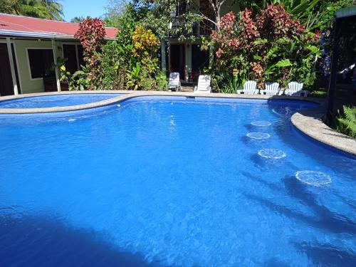 托尔图格罗La Casona Eco-Lodge Tortuguero的庭院里的一个蓝色海水游泳池