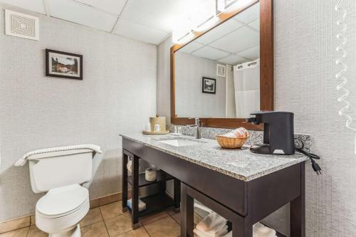 Grantsville格兰茨维尔康福特茵酒店的浴室设有卫生间和带镜子的盥洗盆