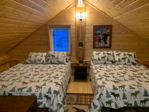 Pleasant ValleyThe Chena Valley Cabin, perfect for aurora viewing的小木屋内一间卧室,配有两张床