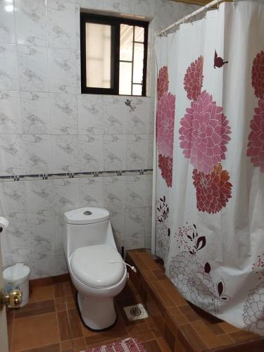 安加罗阿Te Ra'a Travel - Cabaña equipada的一间带卫生间和淋浴帘的浴室