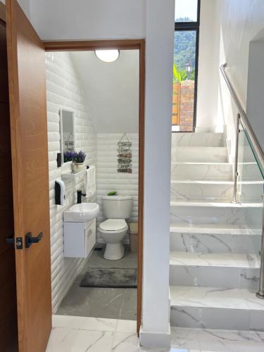 哈拉瓦科阿The Grand Chalet的一间带卫生间和楼梯的浴室