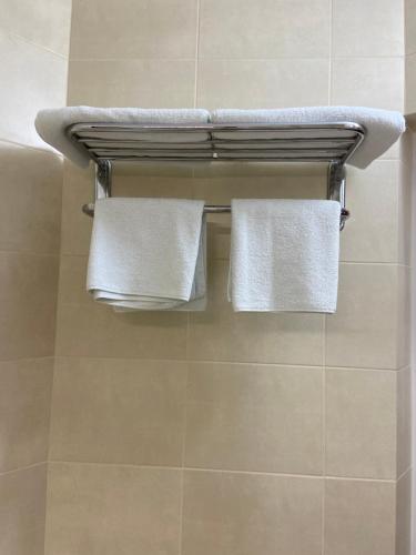 比尔戈罗德-德尼斯特罗夫西基ЭкоДом的浴室毛巾架上的两条毛巾