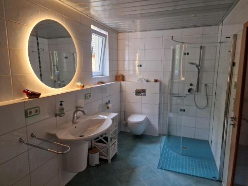 阿布斯贝格Ferienwohnung Halbig的一间带水槽、卫生间和镜子的浴室