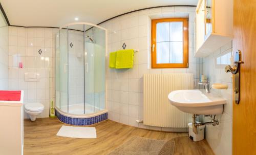 施图拜河谷新施蒂夫特Landhaus Toni的带淋浴卫生间和盥洗盆的浴室