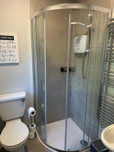韦克斯福德Pineridge Snug的带淋浴、卫生间和盥洗盆的浴室