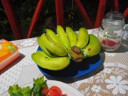 NgurblutDelima Cottage, Ngurbloat Beach的桌上的蓝色碗上的一束香蕉