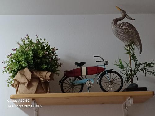 罗萨里奥港Habitaciones Gioly的架子上放着鸟,上面放着自行车