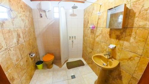 伊瓜苏港Lumay的一间带水槽、淋浴和卫生间的浴室