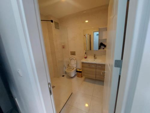 BostancıFatih apart otel的一间带卫生间、水槽和镜子的浴室