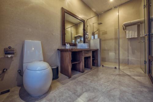 瓦伊卡尔素里亚度假酒店的一间带卫生间、水槽和镜子的浴室