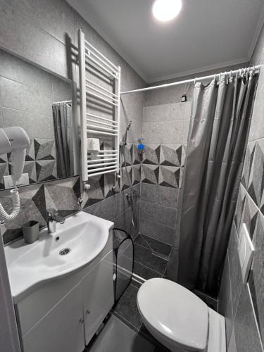 弗尔沙茨Vlasic Apartmani LENA的一间带水槽、卫生间和淋浴的浴室