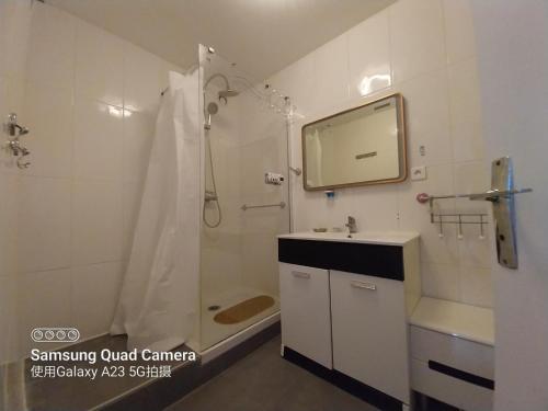 克雷泰伊La chambre de l'appartement的带淋浴、盥洗盆和镜子的浴室