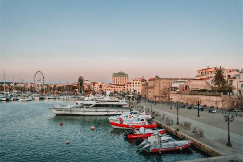 阿尔盖罗伽泰罗尼亚酒店的一群船停靠在港口