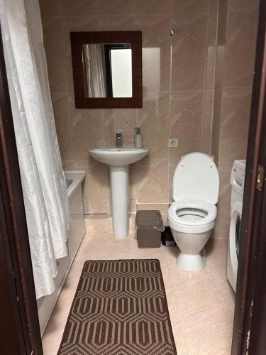 阿拉木图Квартира в районе Парка Горького的一间带卫生间、水槽和镜子的浴室