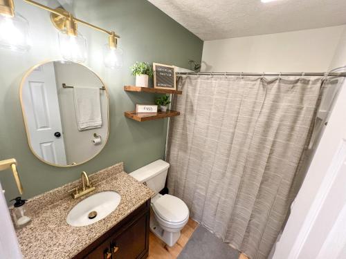 斯诺肖Remodeled Summit Condo at Snowshoe - Modern & Cozy的一间带卫生间、水槽和镜子的浴室