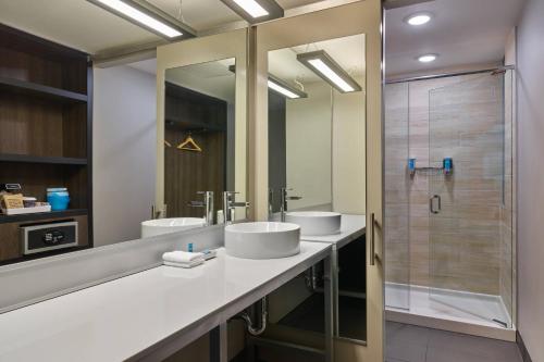 理查森理查森雅乐轩酒店的一间带两个盥洗盆和淋浴的浴室