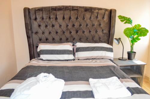 哈拉雷Fantastic location 1-Bed Apartment in Harare的一张带黑色床头板和植物的床