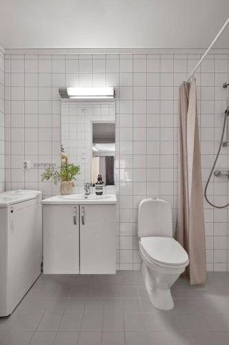 奥斯陆Sjarmerende og sentral hybel med egen Inngang的白色的浴室设有卫生间和水槽。