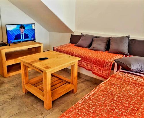 吉汶瓦Sipano Beach Lodge Kiwengwa的客厅设有两张床和一张桌子及电视