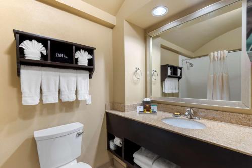 阿林顿北阿林顿/大草原城市套房酒店的一间带水槽、卫生间和镜子的浴室
