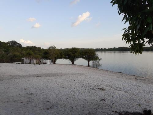 马瑙斯POUSADA CANTO DOS PASSÁROS的湖岸边的树木海滩