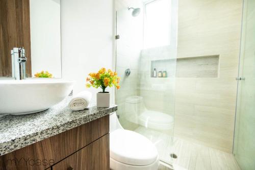 墨西哥城Sophisticated Park Venue Apartment Near Polanco - Nadal 101的一间带水槽、卫生间和淋浴的浴室