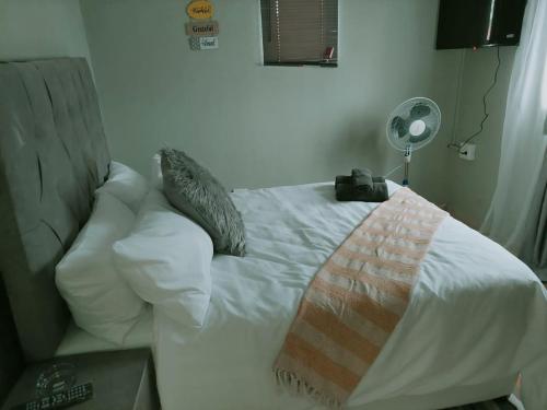 伯格斯堡Gentle Breeze的一张带枕头和毯子的白色床