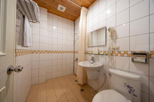 埔里楓樺台一渡假村(台一生態休閒農場)的一间带卫生间和水槽的浴室