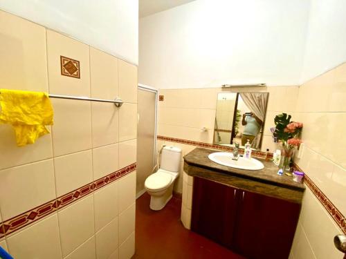 RatmalanaMount view residences的一间带水槽、卫生间和镜子的浴室