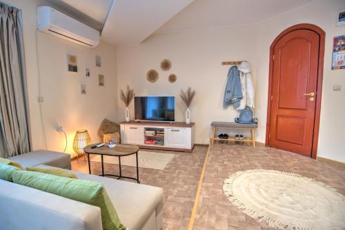 潘波洛沃Вила Capitalica Forte的带沙发和电视的客厅